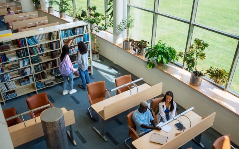 Foundations: Web Development