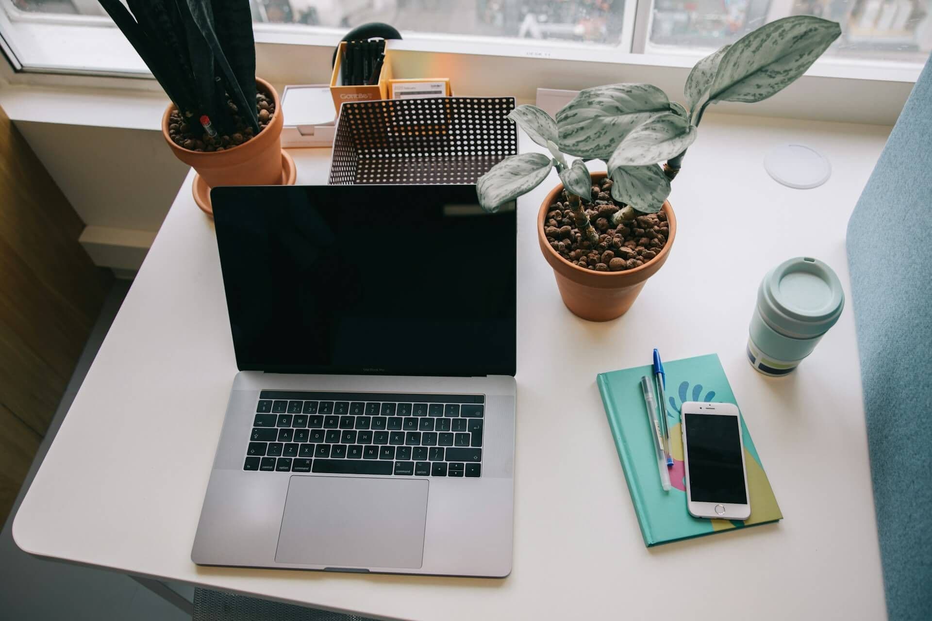 Meta Social Media Marketing Professional Certificate